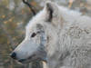 Visión general: Zoo Duisburg